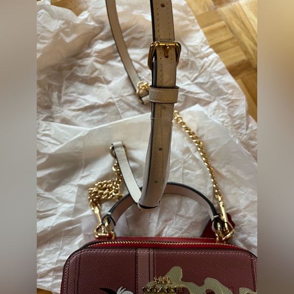 NWT Disney X Coach Box Crossbody With Cruella Motif - Picture 8 of 14